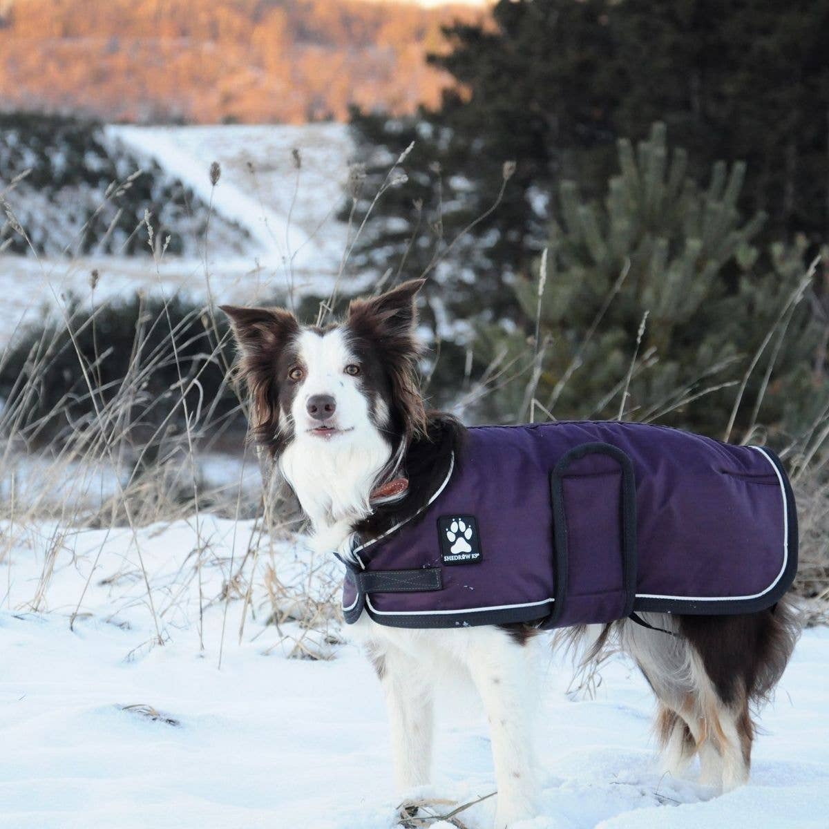 Shedrow k9 dog coats online